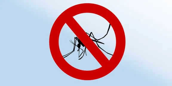 Dengue: veja quais os sintomas e como evitar